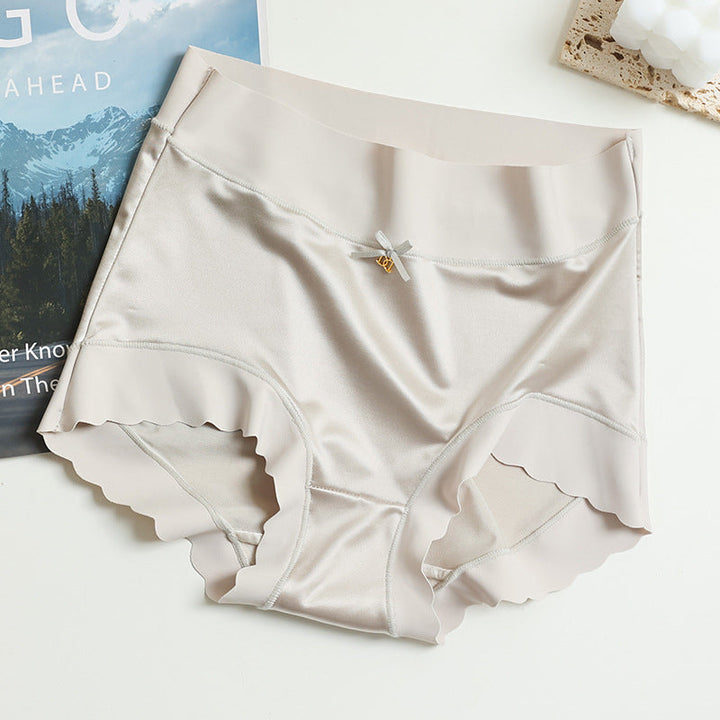 10 Pack Seamless Briefs | Valenira
