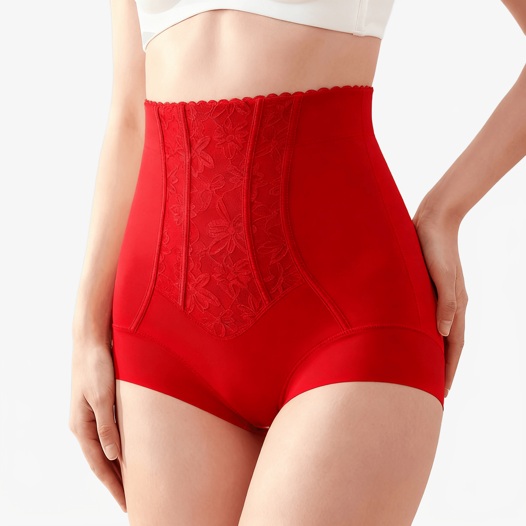 Boned Lace Shaping Briefs 2-Pack