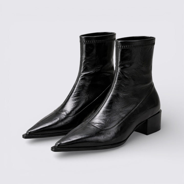 Pair of black pointed toe ankle boots with a low block heel