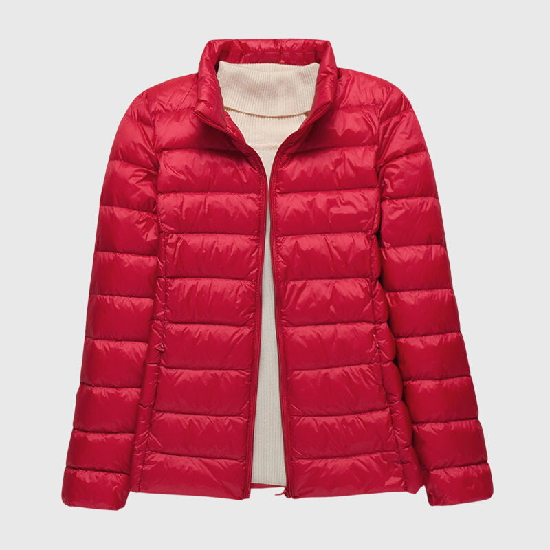 Quilted Puffer Jacket with Hood or Stand Collar