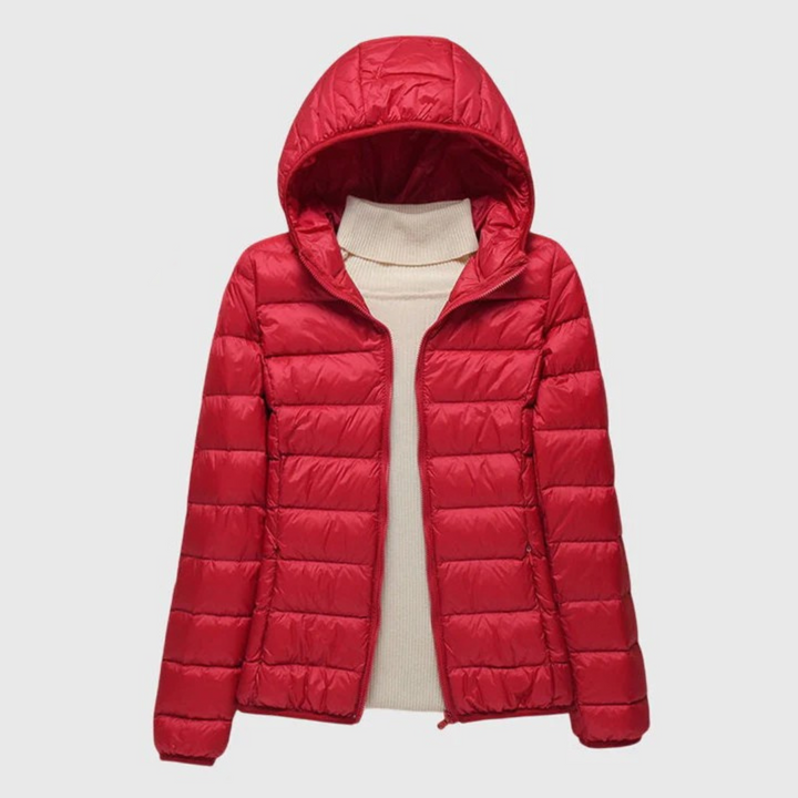 Quilted Puffer Jacket with Hood or Stand Collar