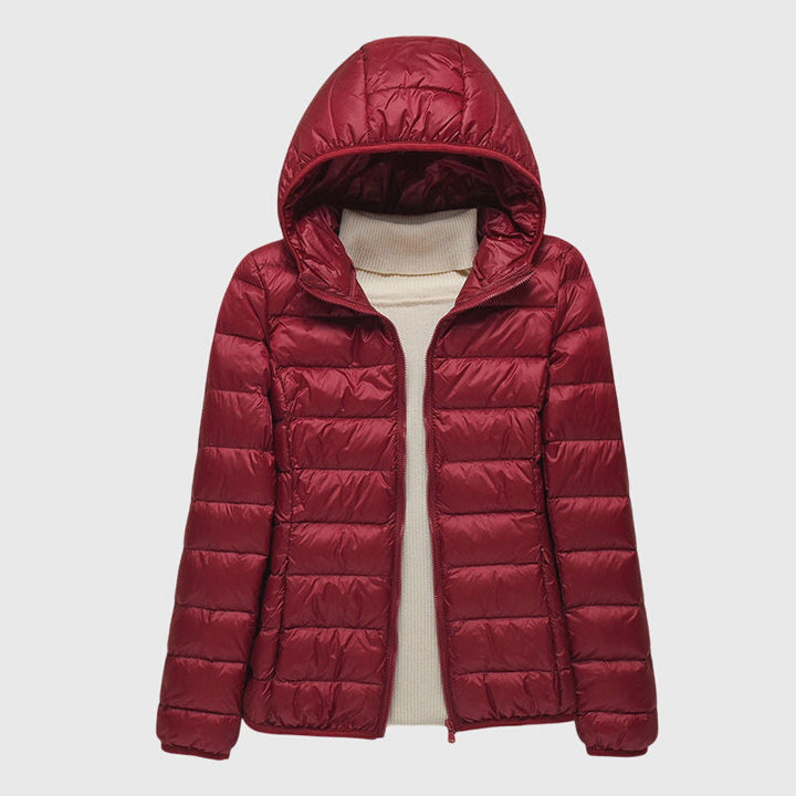 Quilted Puffer Jacket with Hood or Stand Collar